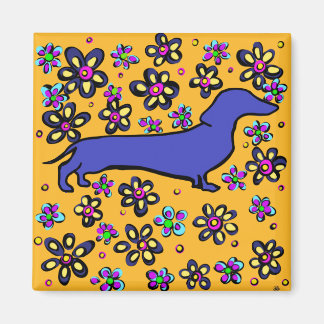 Aimant Doxie