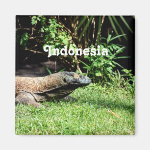 Aimant Dragon de l'Indonésie Komodo