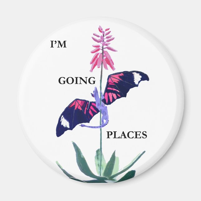 Aimant Dragon et Cactus (Devant)