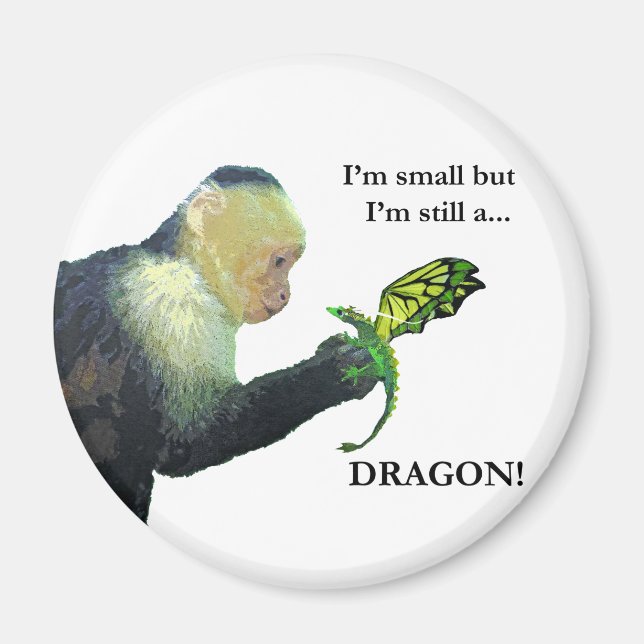 Aimant Dragon et singe (Devant)