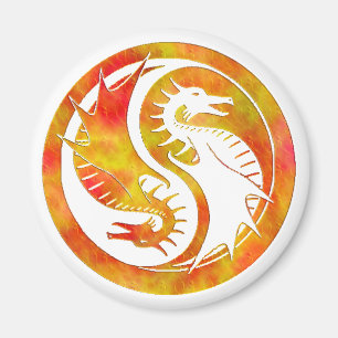Aimant Dragon Yin Yang