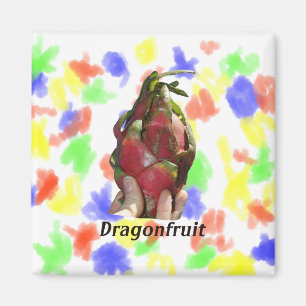 Aimant Dragonfruit tenu dans les doigts avec la photo tex