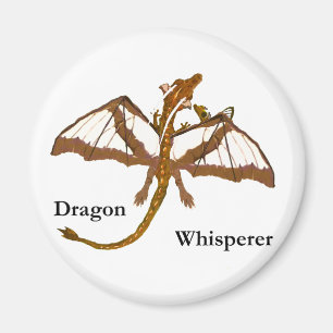 Aimant Dragons de maman et d'enfant
