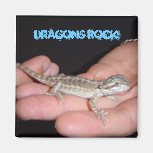 Aimant Dragons Rock My World (Devant)