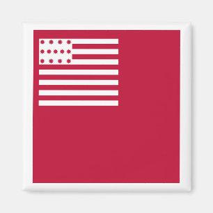 Aimant Drapeau de Brandywine