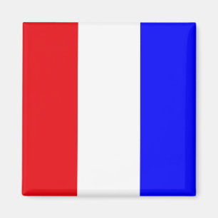Aimant Drapeau de code de signaux "T" (Tango)