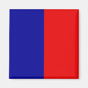 Aimant Drapeau Paris