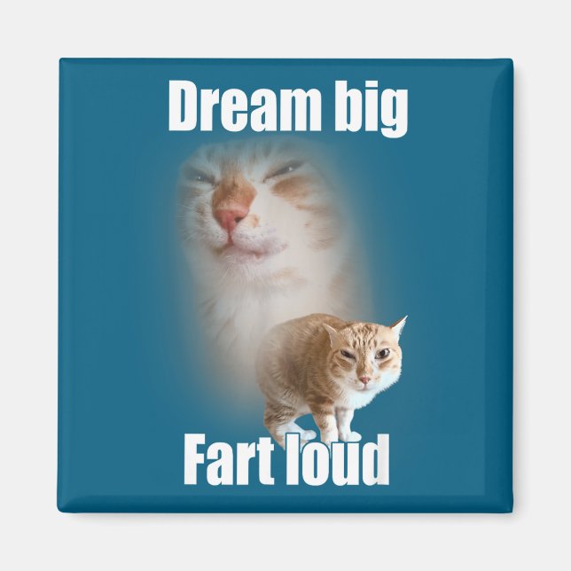 Aimant Dream Big Fart Loud Cat Meme Funny Saying  (Devant)