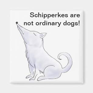 Aimant Drôle Aloof Schipperke Chig Dessin