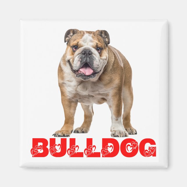 Aimant Drôle Amant Bulldog Funny Bully Chien chiot (Devant)