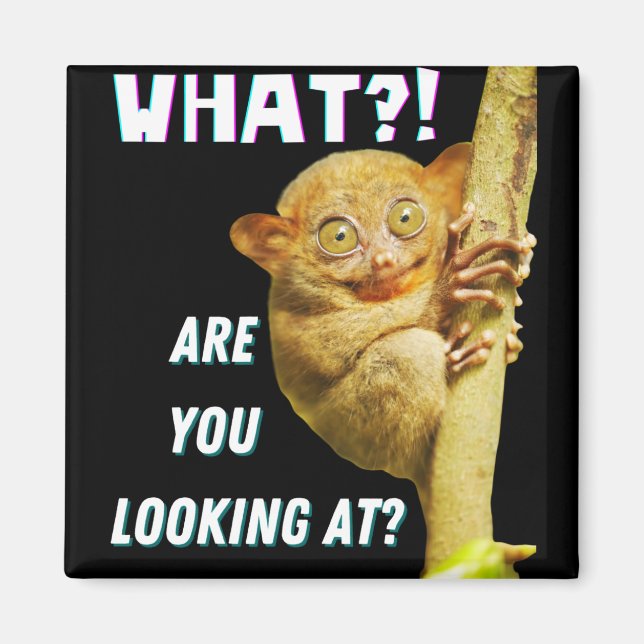 Aimant Drôle Big Eyed Tarsier Ce que vous regardez (Devant)
