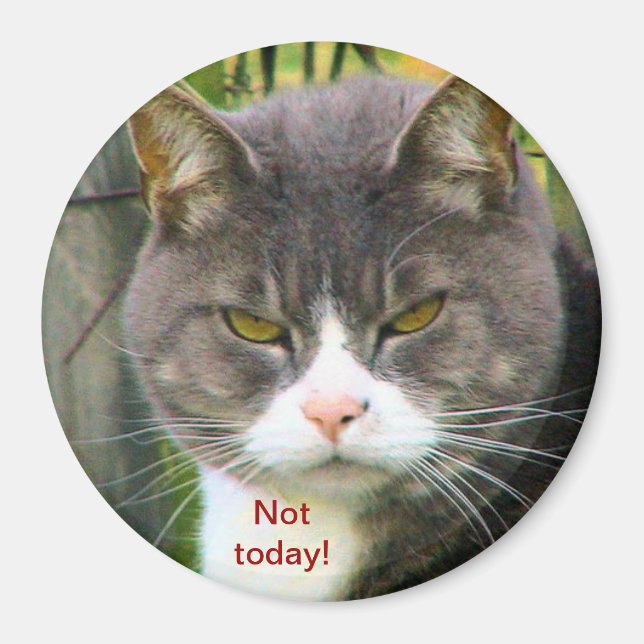 Aimant Drôle CHAT EN COLÈRE : "PAS AUJOURD'HUI !" (Devant)