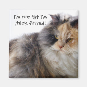 Aimant Drôle Chat n'est pas gras ! Épais fourré