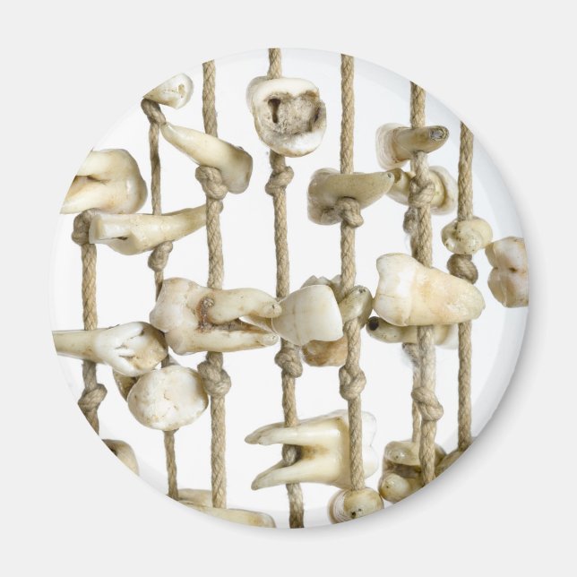 Aimant Drôle Dentaire Photographie Dentaire Extrait Dents (Devant)