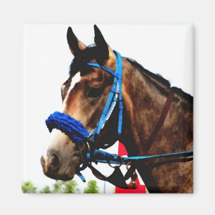 Aimant du cheval de course