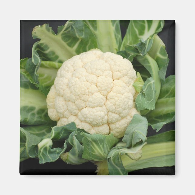 Aimant du chou-fleur (Devant)