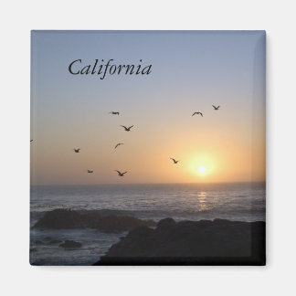 Aimant du coucher de soleil côtier