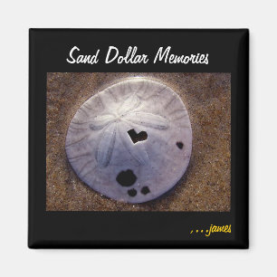 Aimant du dollar de sable