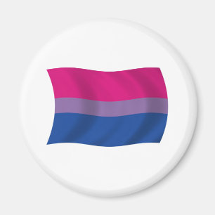 Aimant du drapeau de la fierté bisexuelle