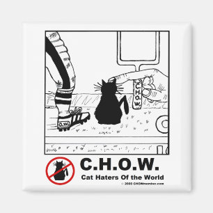 Aimant du football de haineux de chat