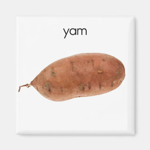 Aimant du réfrigérateur de Yam