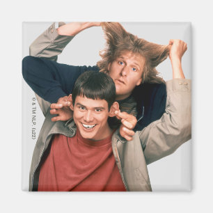 Aimant Dumb et Dumb   Lloyd et Harry