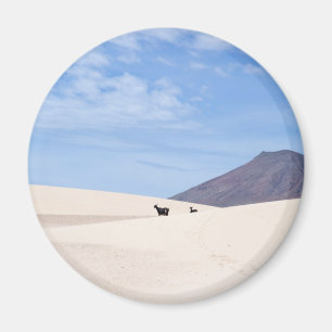 Aimant Dunes de Corralejo, Fuerteventura, Îles Canaries