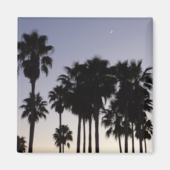 Aimant Dusk avec palmiers Scène tropicale (Devant)