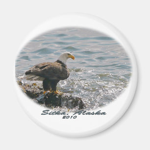 Aimant Eagle chauve sur la plage