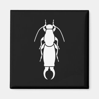 Aimant Earwig