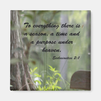 Aimant Ecclésiaste 2:1