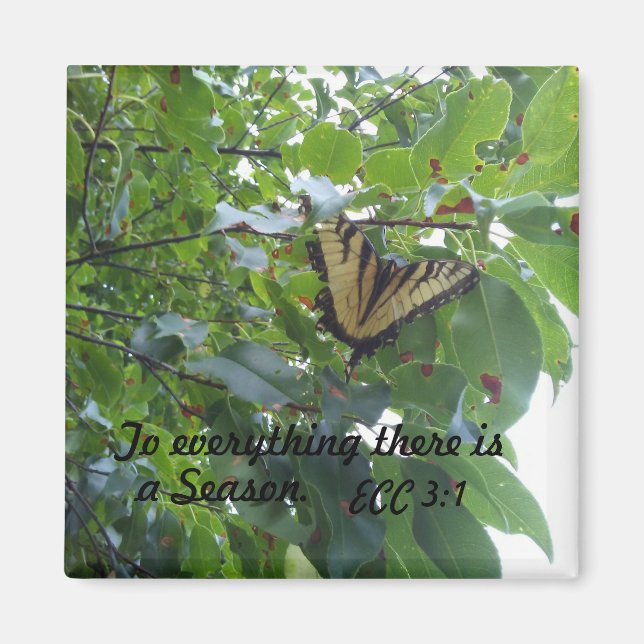 Aimant Ecclesiastes 3:1 À tout il ya une saison (Devant)