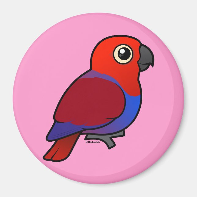 Aimant Eclectus Parrot femelle (Devant)