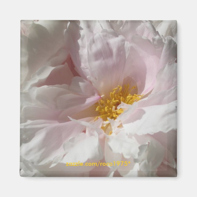 Aimant Écluse (Devant)