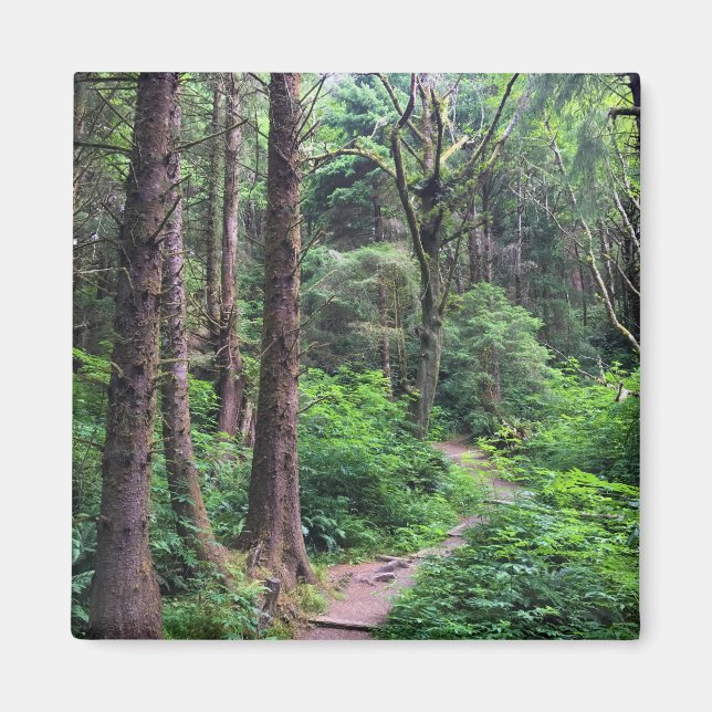 Aimant Ecola State Park, Cannon Beach, Oregon (Devant)