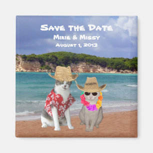 Aimant Économies drôles de mariage de plage de chats la