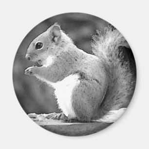 Aimant Écureuil