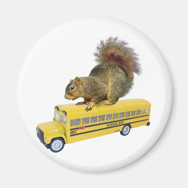 Aimant Écureuil dans le bus scolaire (Devant)