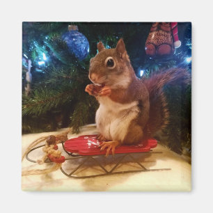 Aimant Écureuil de Noël