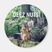 Écureuil Drôle Deez Nuts Humour Inapproprié Photo