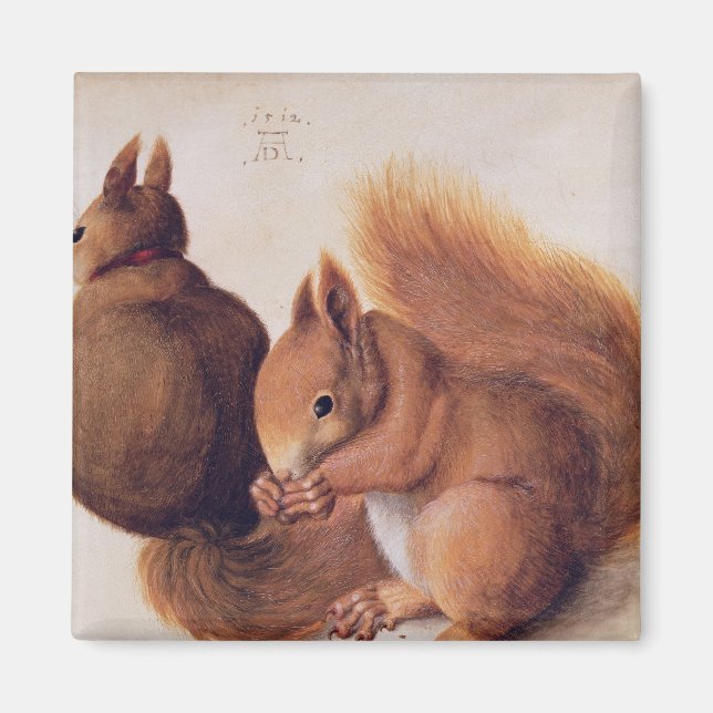 Aimant Écureuils, 1512 (Devant)