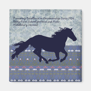 Aimant Eddy Farm School for Horse and Rider