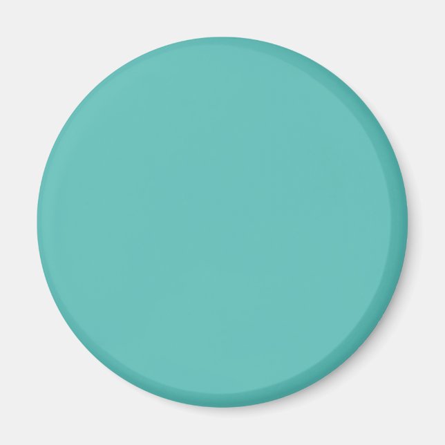 Aimant Eeucalyptus pastel bleu turquoise (Devant)