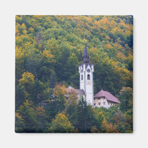 Aimant Eglise dans une forêt tropicale en Slovénie