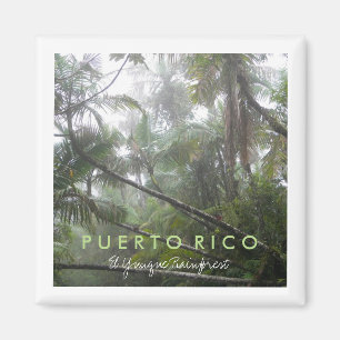 Aimant El Yunque, Porto Rico