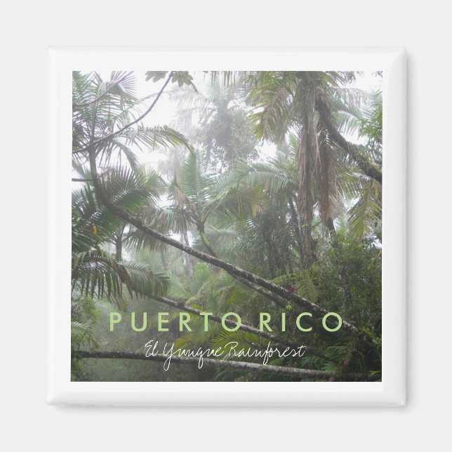 Aimant El Yunque, Porto Rico (Devant)