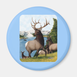 Aimant Élan Wapiti