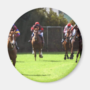 Aimant Électo-aimant de champ de course de chevaux