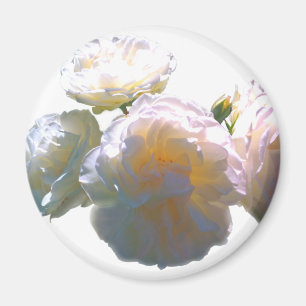 Aimant Elégant blanc pêche orange roses