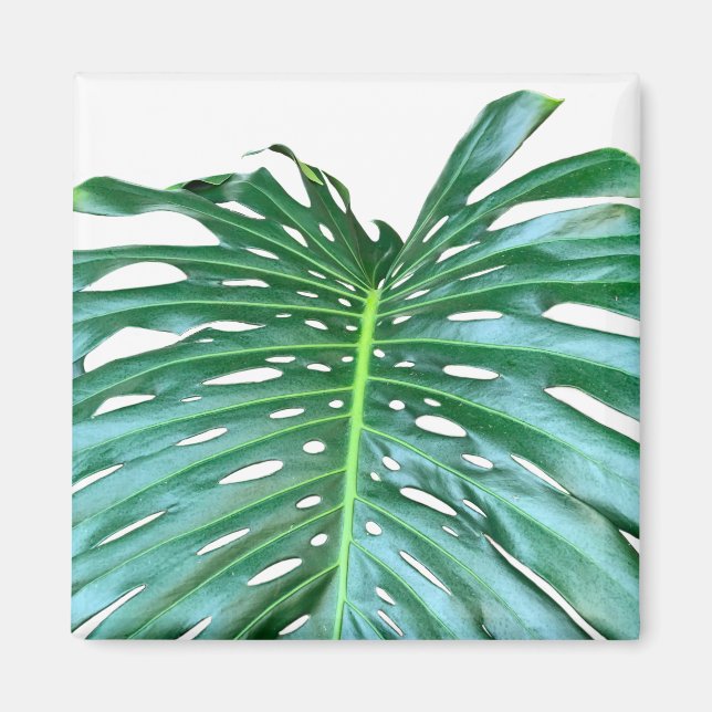 Aimant Elégante feuille de palmier tropicale jungle tropi (Devant)